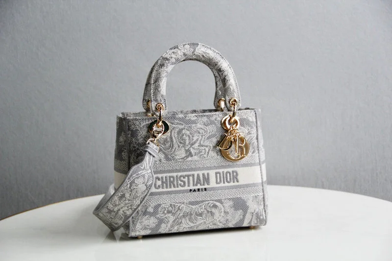 Christian Dior handbags with a detachable mirror for on - the - go touch - upsChristian Dior Bags - 4917